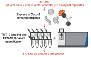 Nature子刊發表有關SARS-CoV-2病毒和人類蛋白質相互作用的綜合性研究
