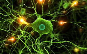 Nature Genetics：關于小膠質細胞的新發現