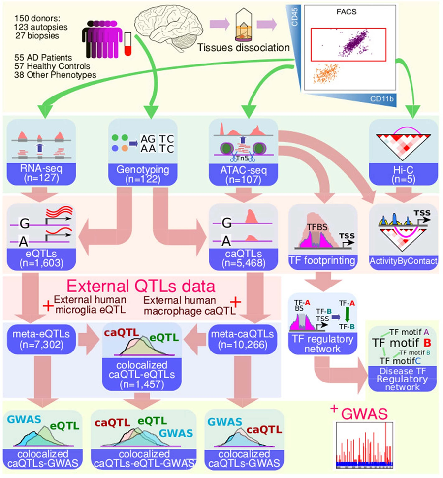 數據生成和綜合分析示意圖