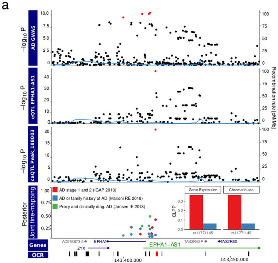 EPHA1-AS1基因調控小膠質細胞的轉錄和染色質可接觸性的AD病原學積分圖