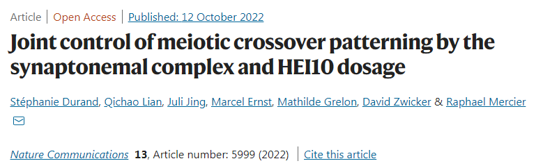 通過突觸復合體和HEI10聯合控制減數分裂交叉模式
