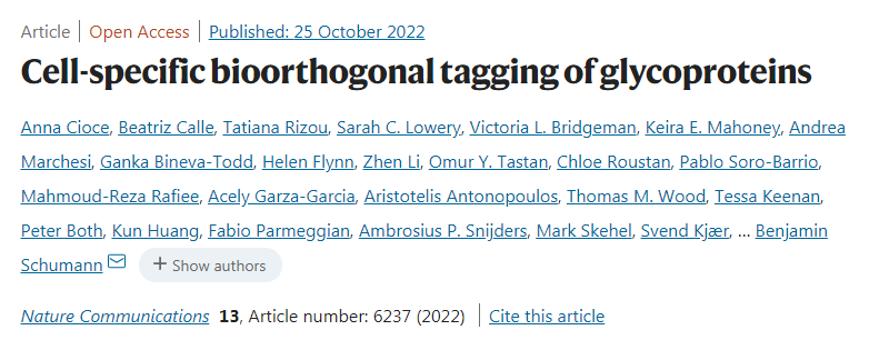 科學(xué)家團(tuán)隊(duì)開(kāi)發(fā)了新方法可以識(shí)別由特定類型的細(xì)胞釋放的蛋白質(zhì)