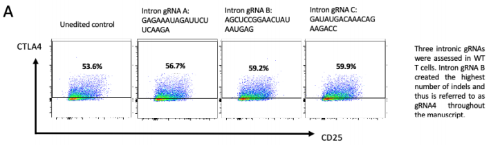  FACs圖示三種不同gRNA靶向基因內區經核轉染后代表性的正常CTLA-4表面表達