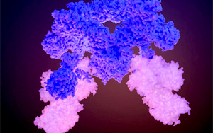 Nature破譯細胞生長的關鍵調控因子
