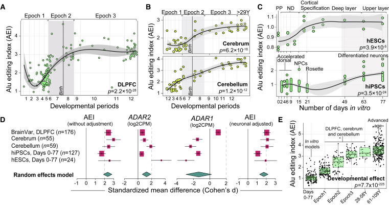 人類大腦發育和神經元成熟過程中的Alu編輯指數