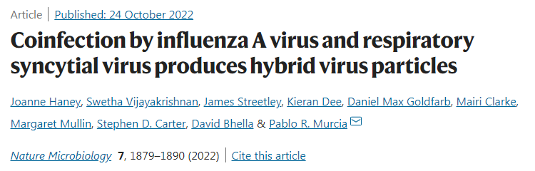 研究發現兩種常見呼吸道病毒IAV和RSV相互融合形成了一種圈子內的混合病毒
