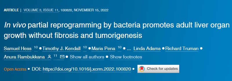 一種可能進化為幫助對抗感染的免疫反應似乎是驅使人類免疫缺陷病毒(HIV)進入潛伏狀態的機制