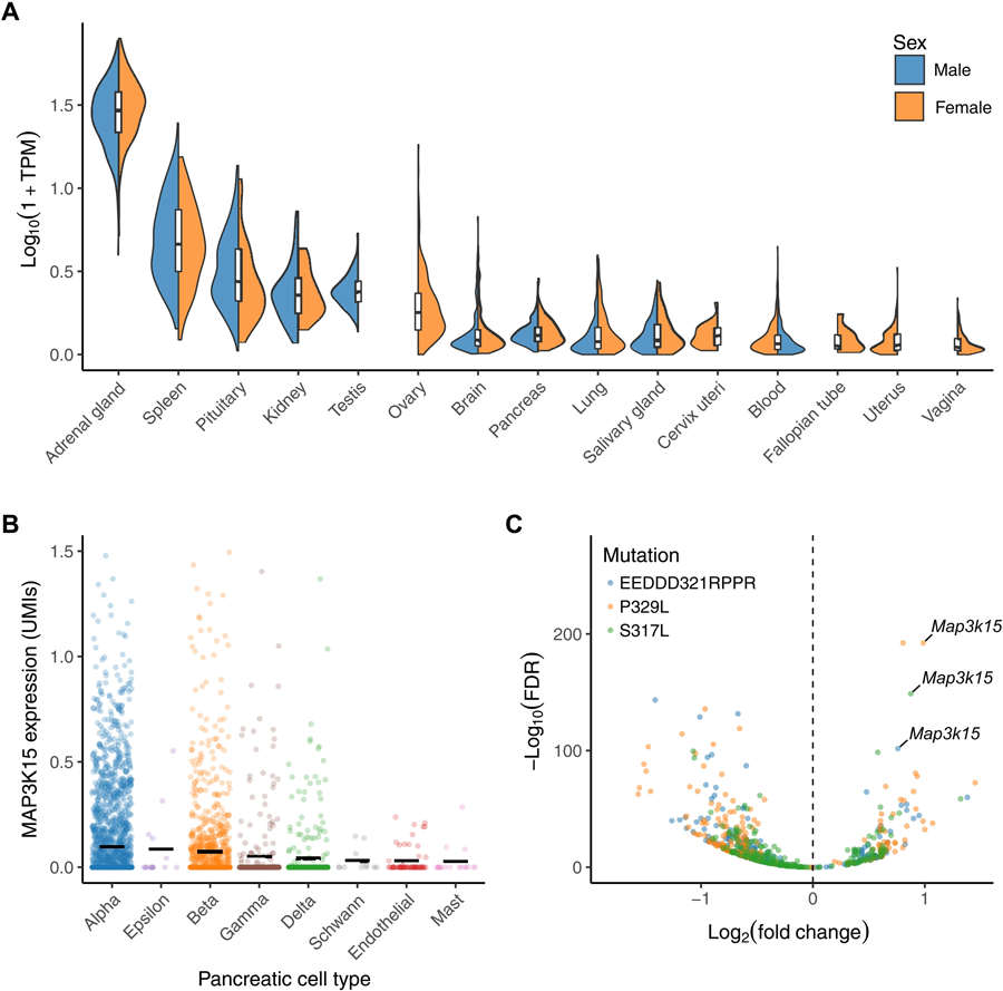 MAP3K15的組織表達譜 MAP3K15的組織表達譜