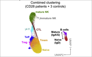 這類(lèi)人群感染HPV后可能成為“樹(shù)人”！Cell揭示CD28缺乏與HPV易感性之間的關(guān)系
