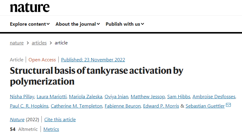 科學家們已經揭示了一種涉及廣泛細胞過程的關鍵蛋白質的內部工作原理