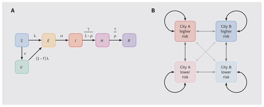 分配猴痘病毒疫苗模型結構