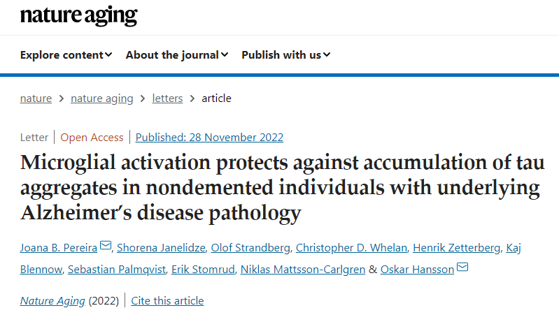 大腦中的大型免疫細(xì)胞可以減緩阿爾茨海默病的發(fā)展