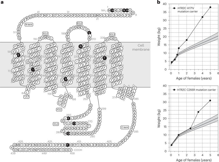 嚴重肥胖人群中發現的影響5-HT2CR的罕見變異 嚴重肥胖人群中發現的影響5-HT2CR的罕見變異