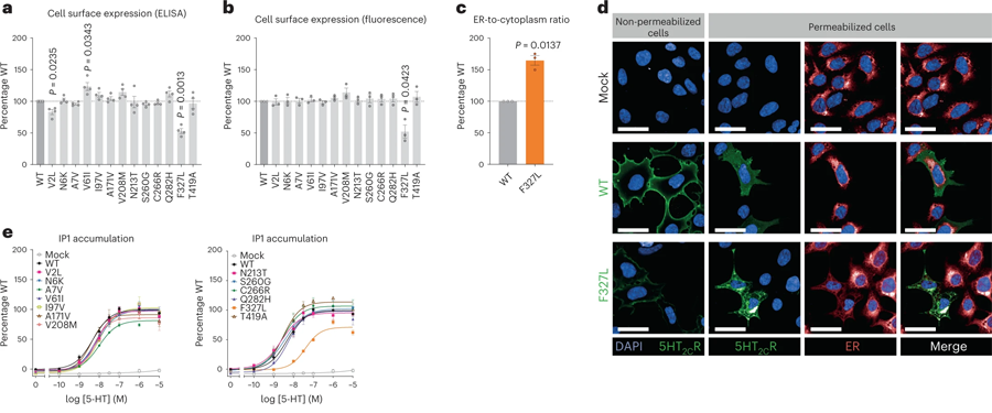 編碼5-HT2CR的基因中的人類變體導致細胞功能喪失 編碼5-HT2CR的基因中的人類變體導致細胞功能喪失