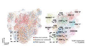 Science子刊最新研究找到了新冠病毒令人失去嗅覺的關鍵原因