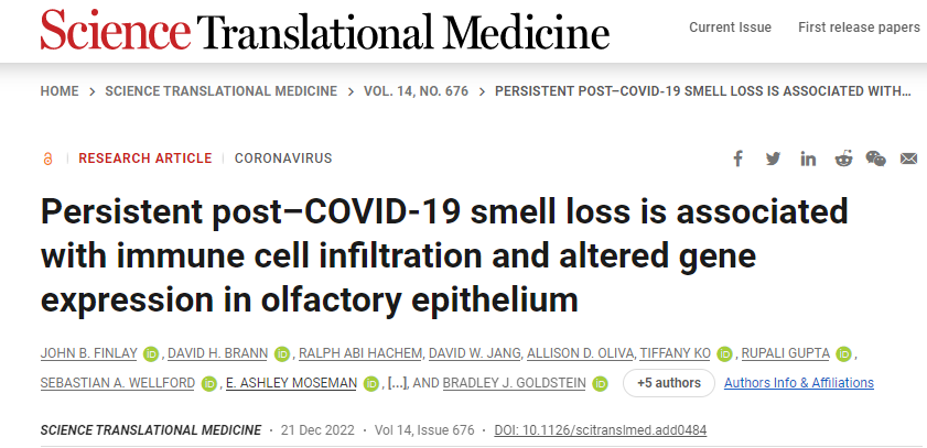 新冠肺炎后無法恢復嗅覺與免疫系統對嗅覺神經細胞的持續攻擊以及這些細胞數量的相關下降有關