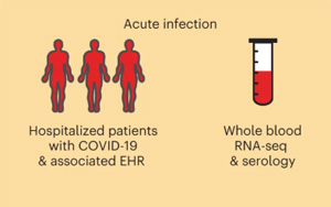 Nature Medicine：COVID-19幸存者一年后血液基因表達變化