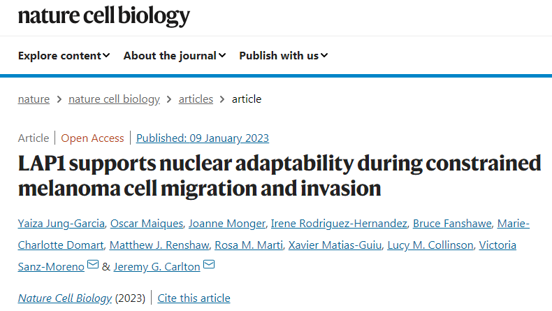 研究發現LAP1蛋白質的升高與黑素瘤患者預后不良有關