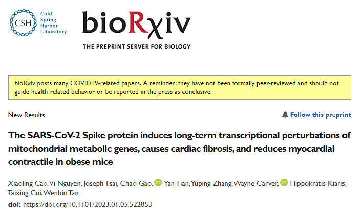 研究團隊發(fā)現(xiàn)新冠病毒的S蛋白可誘導(dǎo)線粒體代謝基因的長期轉(zhuǎn)錄抑制并導(dǎo)致心臟纖維化和心肌收縮損傷