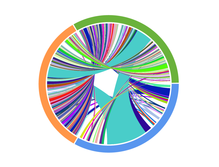 在接受抗pd1治療的患者身上收集的匹配T細胞受體測序結果的Circos圖