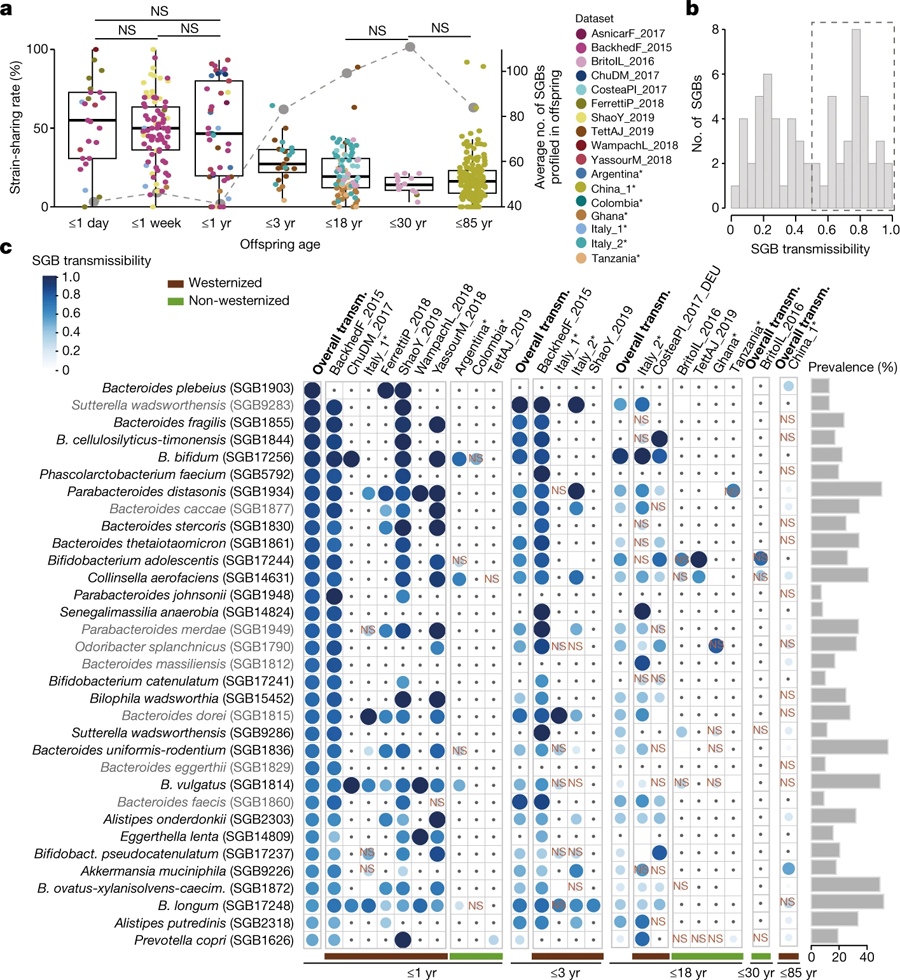 母親-后代分享腸道微生物組
