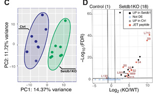 Science Immunology兩篇重要論文：解決癌癥免疫領域長期面臨的挑戰