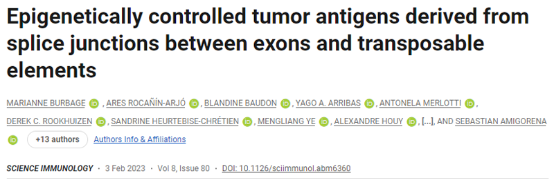 表觀遺傳控制的腫瘤抗原來源于外顯子和轉座元件之間的剪接連接 表觀遺傳控制的腫瘤抗原來源于外顯子和轉座元件之間的剪接連接