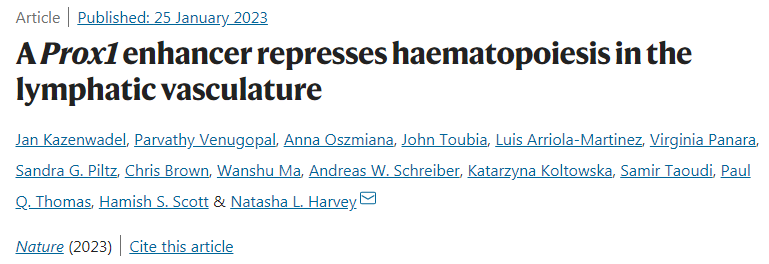 科學家發現淋巴管可以產生紅細胞和白細胞 科學家發現淋巴管可以產生紅細胞和白細胞