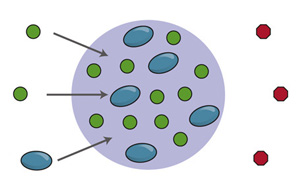 Cell新論文：基因調控關鍵機制