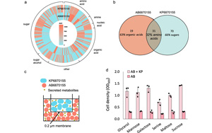Nature子刊：最致命和耐藥的病原體協作，變得更具傳染性