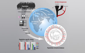 為什么我們對新冠等疾病的反應不同？Immunity發現人與人之間T細胞受體基因存在很大差異