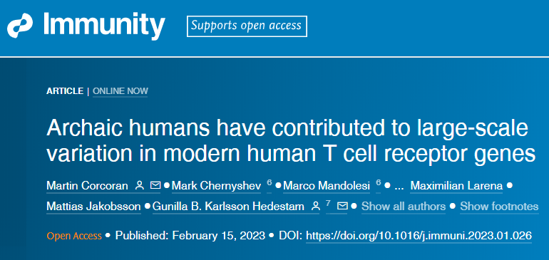 研究人員發現編碼T細胞受體的基因在人和人群之間存在很大差異