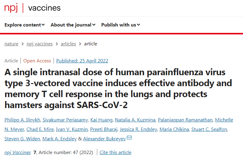 鼻腔接種新冠疫苗能引起呼吸道黏膜免疫反應 鼻腔接種新冠疫苗能引起呼吸道黏膜免疫反應
