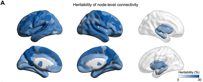 90個節點的連接顯示出遺傳力顯著基于SNP
