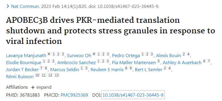 新研究揭示了一種名為APOBEC3B的蛋白質(zhì)如何保護細胞免受RNA病毒感染