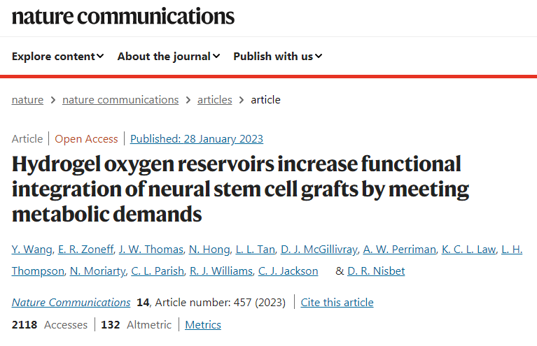 研究人員開發了新的水凝膠可以安全地將干細胞輸送到小鼠的腦損傷部位