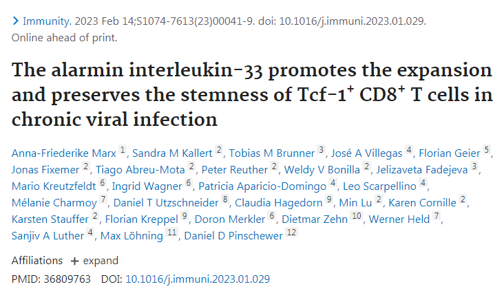 研究人員研究了免疫系統仍然能夠提供足夠的T細胞來對抗慢性感染的原因