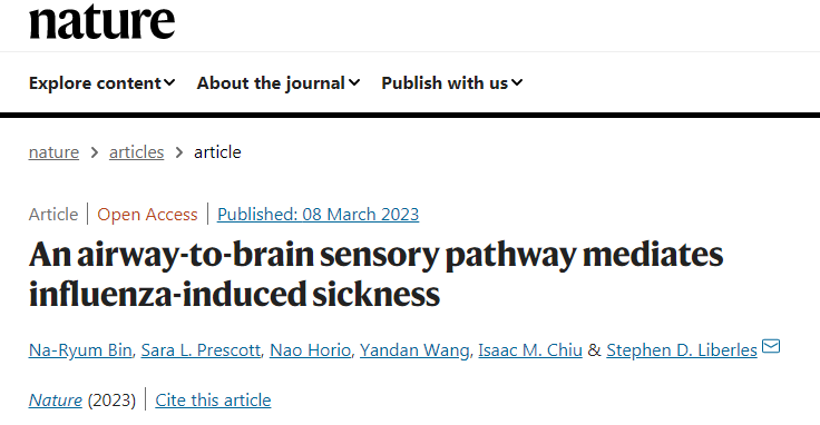 新研究闡明了大腦是如何意識到體內有感染的