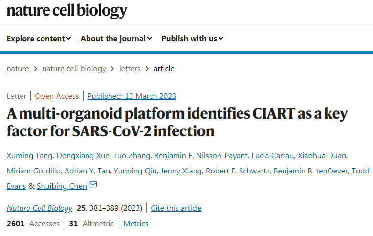CIART基因的活性是引發COVID-19病毒感染的關鍵因素