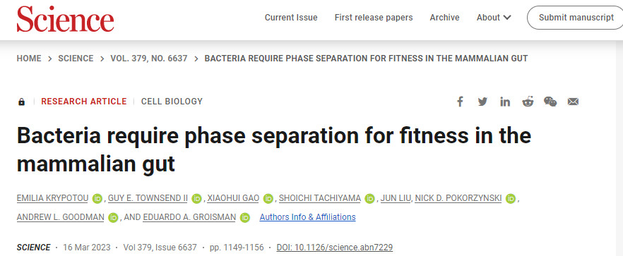 研究人員發(fā)現(xiàn)了有益細菌在腸道定植的一種新的機制