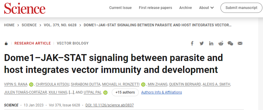 研究人員發現了宿主和節肢動物寄生蟲之間的第一個物種間信號通路