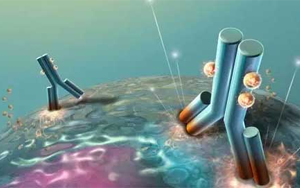 不可錯過的標簽抗體，優選西寶生物