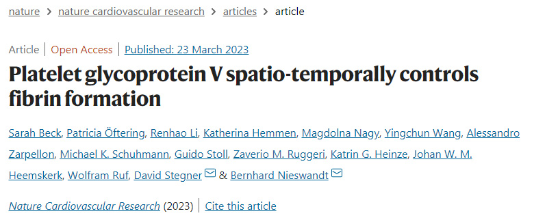 研究人員破譯了纖維蛋白形成的中央調節機制