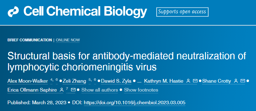 研究表明一種抗體可以結合并中和LCMV