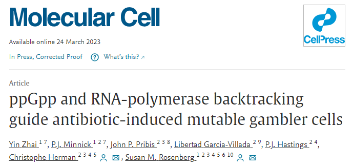 貝勒醫學院研究人員在分子水平上研究導致抗生素耐藥性的過程