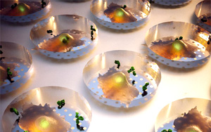 Nature子刊：實時蛋白質分泌檢測技術