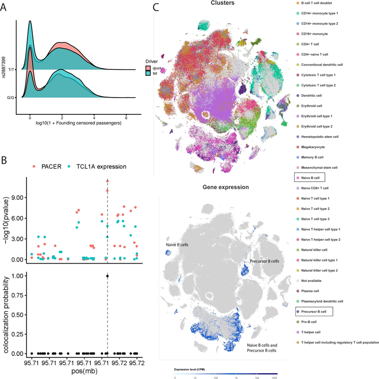 GWAS顯示rs2887399是克隆擴增速率的調節劑