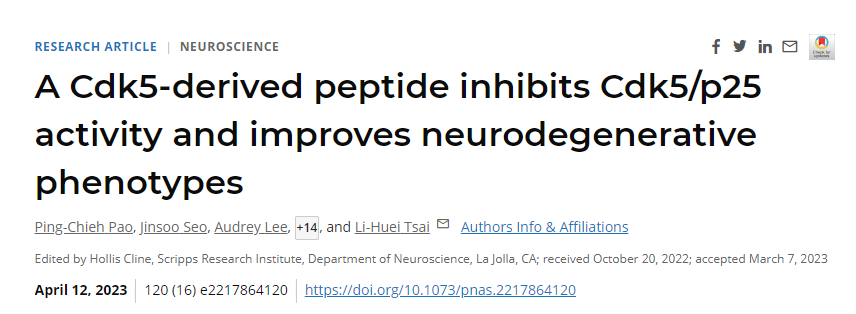 研究發現通過干擾阿爾茨海默病患者大腦中通常過度活躍的一種酶來逆轉神經退行性變