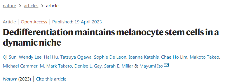 黑色素干細胞(McSCs)具有顯著的可塑性