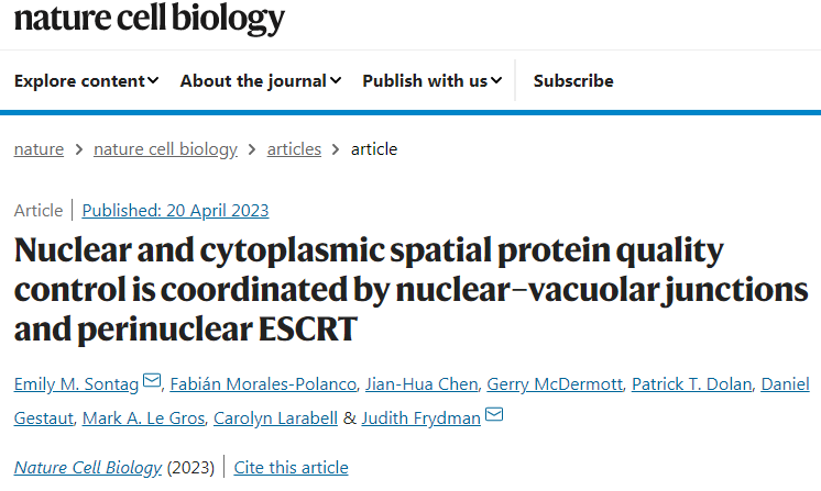 研究人員發現了一種細胞途徑可以清除細胞核中錯誤折疊的蛋白質